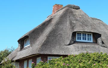 thatch roofing Luxton, Devon